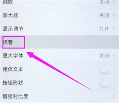 苹果6plus中开启屏幕朗读的操作步骤