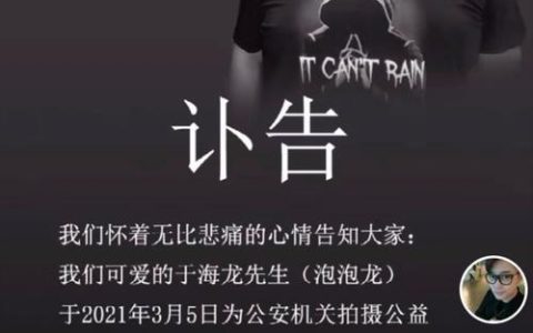 泡泡龙（探寻泡泡龙的终结之谜）