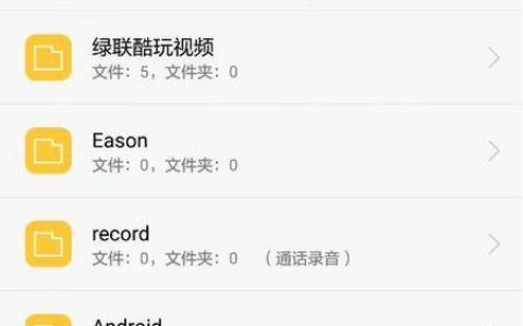 手把手教你如何在手机上打开U盘文件管理（解决您在手机上管理U盘文件的困扰）