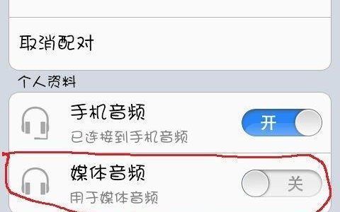 手机蓝牙配对连接教程（轻松实现手机与其他设备的无线连接）