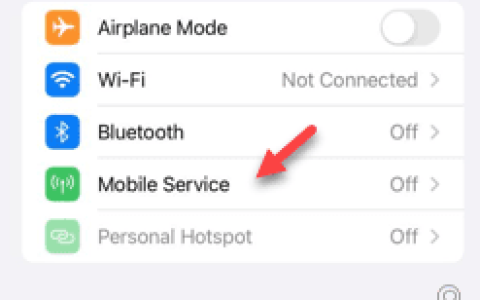 iPhone上的蜂窝数据互联网速度慢：修复