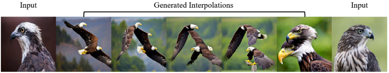 ICLR 2024 Spotlight | NoiseDiffusion: 矫正扩散模型噪声,提高插值图片质量