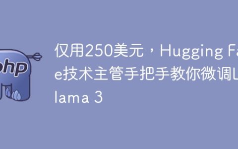 仅用250美元，Hugging Face技术主管手把手教你微调Llama 3