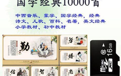 2024年内存卡品牌排行榜