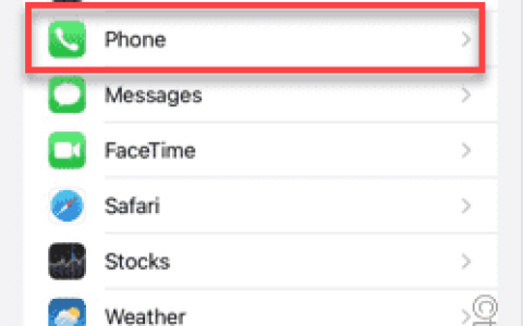 来电在iPhone中接收忙音：修复