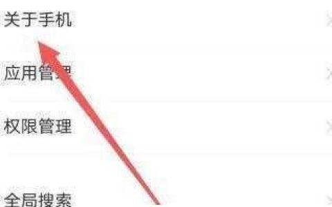 vivox70手机激活时间在哪里查_vivox70手机激活时间查看方法