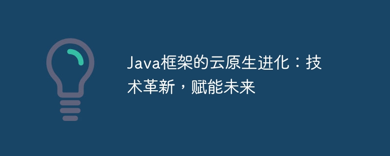 Java框架的云原生进化:技术革新,赋能未来