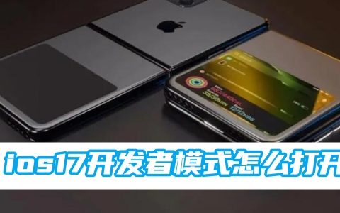 ios17开发者模式怎么打开 开发者模式打开方法