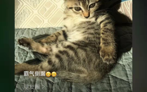 微信又出新功能，语音通话时自动展示好友朋友圈