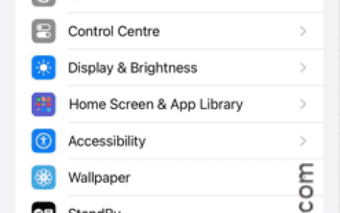 iPhone上的数据需要更新：修复