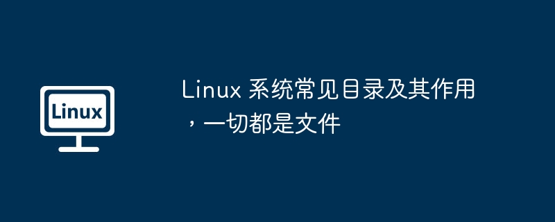 linux 系统常见目录及其作用,一切都是文件