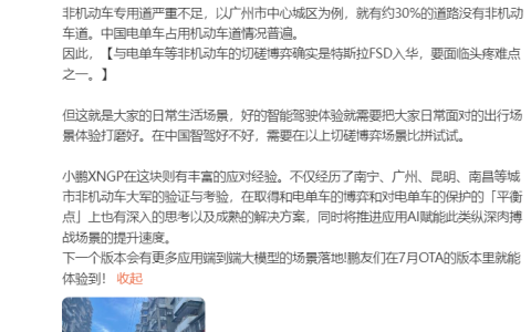 小鹏李力耘：特斯拉FSD或难适应中国三亿电单车现状