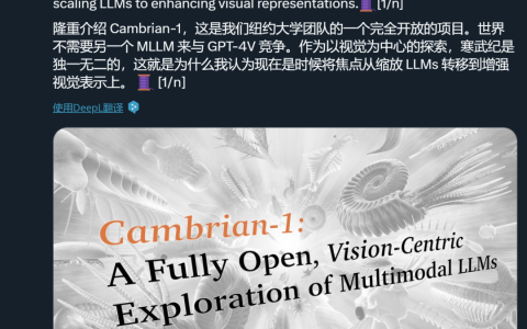 寒武纪1号诞生：谢赛宁Yann LeCun团队发布最强开源多模态LLM