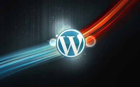 如何使用WPSeku找出 WordPress 安全问题？