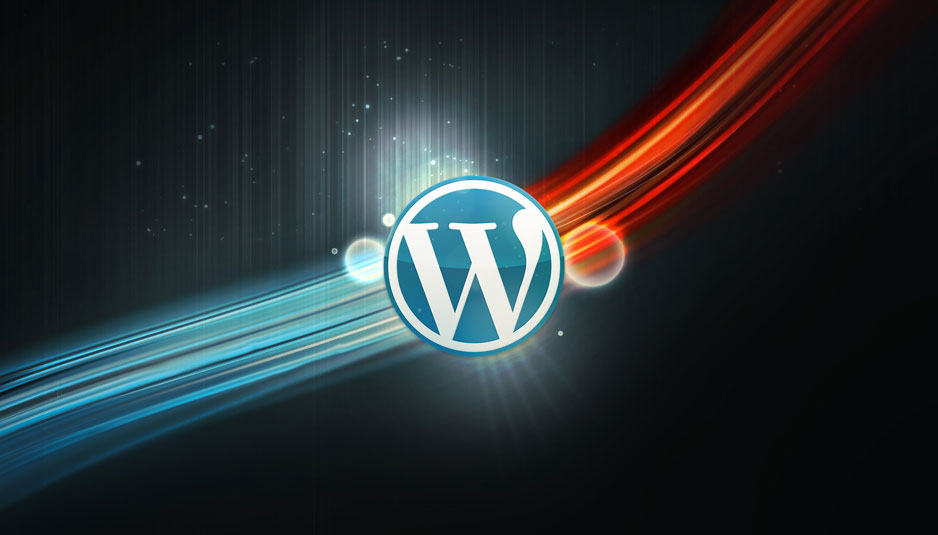 如何使用WPSeku找出 WordPress 安全问题?