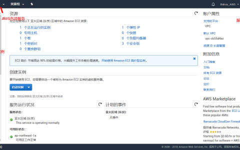 亚马逊云免费搭建服务器创建你的实例
