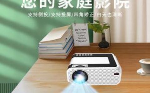 投影仪投屏无法正常使用的解决方法（投影仪无法投屏的原因及解决方案）