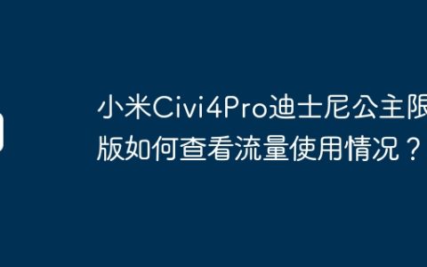 小米Civi4Pro迪士尼公主限定版如何查看流量使用情况？