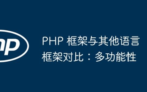 PHP 框架与其他语言框架对比：多功能性