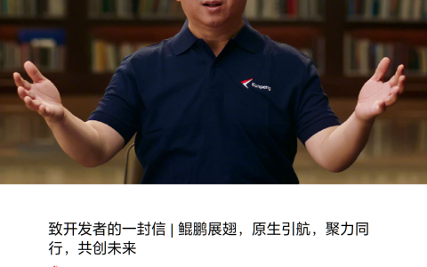 华为发布《致开发者的一封信》：开发者是鲲鹏展翅翱翔的源动力