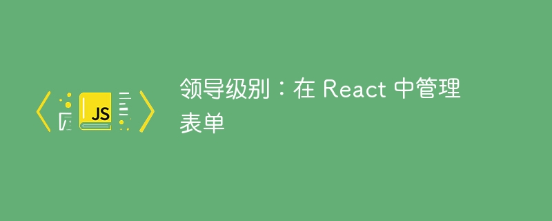 领导级别:在 react 中管理表单