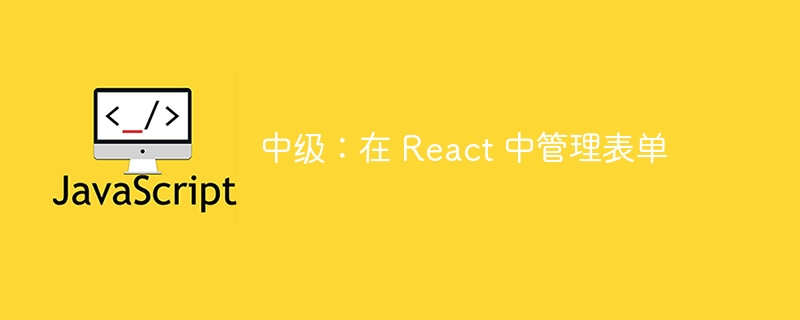 中级:在 react 中管理表单