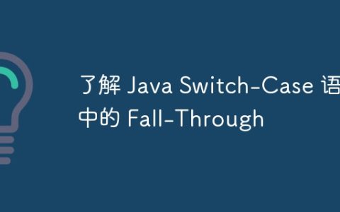 了解 Java Switch-Case 语句中的 Fall-Through