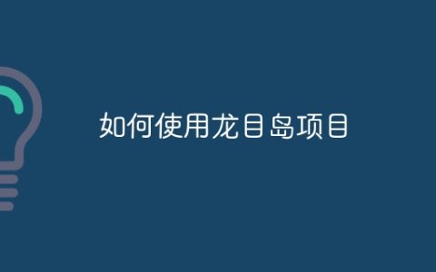 如何使用龙目岛项目