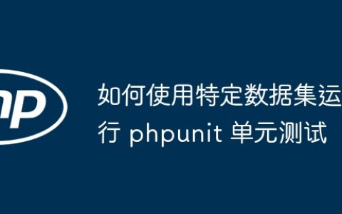 如何使用特定数据集运行 phpunit 单元测试
