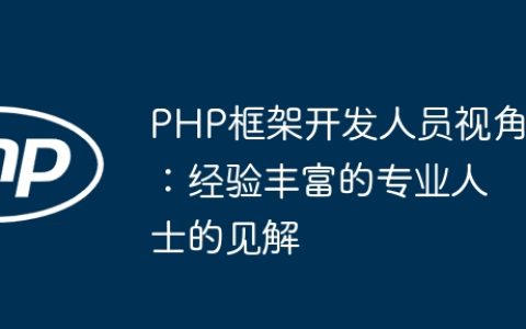 PHP框架开发人员视角：经验丰富的专业人士的见解