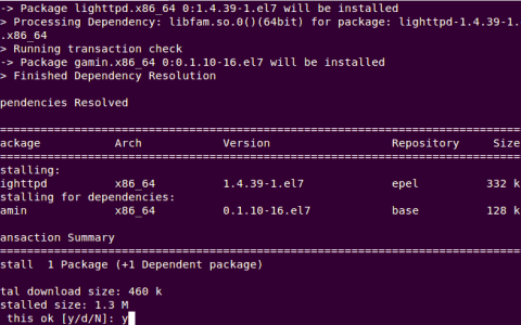 在 Linux 中安装 Lighttpd Web 服务器