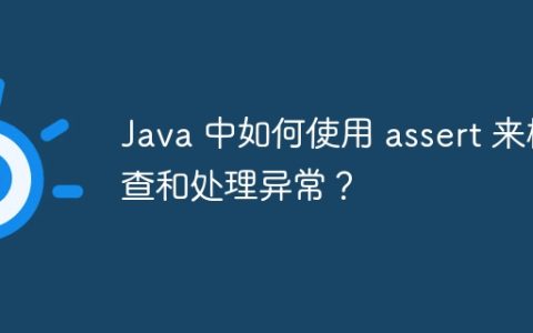 Java 中如何使用 assert 来检查和处理异常？