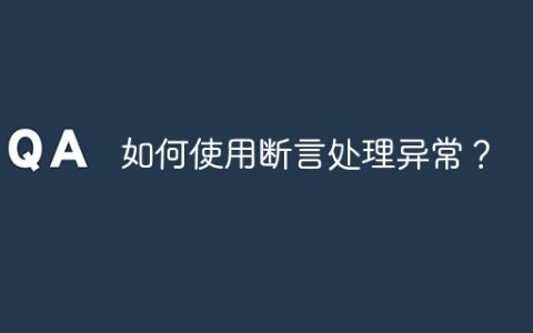 如何使用断言处理异常？