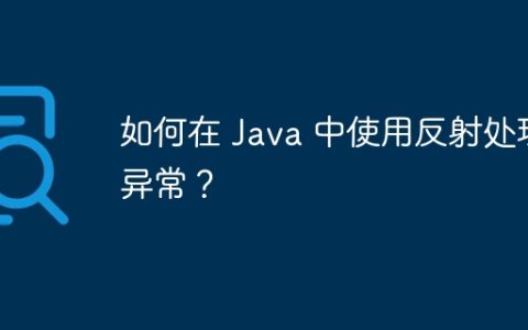 如何在 Java 中使用反射处理异常？