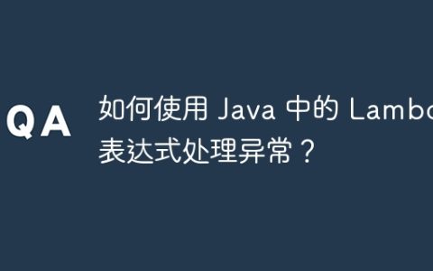 如何使用 Java 中的 Lambda 表达式处理异常？