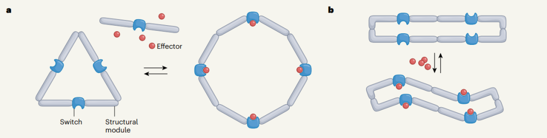 AI从头设计蛋白质「开关」,蛋白质设计的惊人突破,David Baker研究登Nature