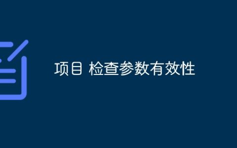 项目 检查参数有效性