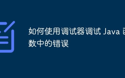 如何使用调试器调试 Java 函数中的错误