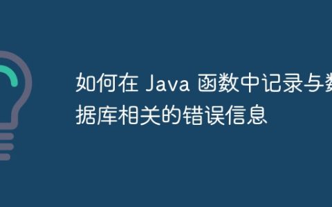 如何在 Java 函数中记录与数据库相关的错误信息