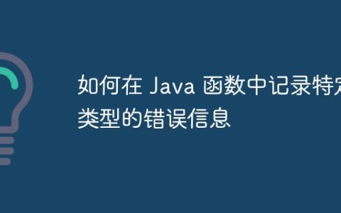 如何在 Java 函数中记录特定类型的错误信息
