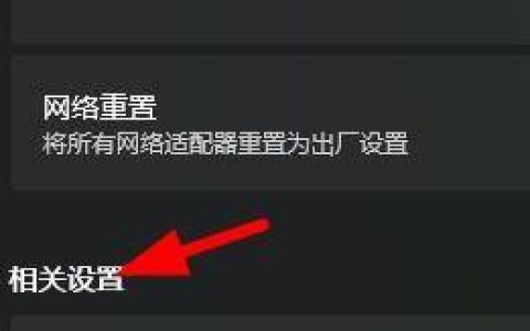 Win11怎么打开更多网络适配器选项