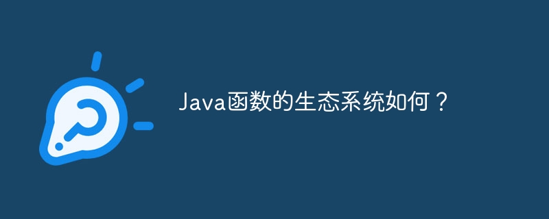 Java函数的生态系统如何?