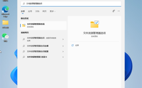 Win11怎么查看文件的后缀名 Win11显示文件后缀名的方法