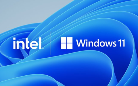 怎么解决Win10/Win11硬盘时常写入100%甚至电脑假死问题