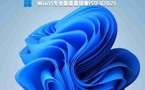 Win11企业版和专业版有什么区别哪个好