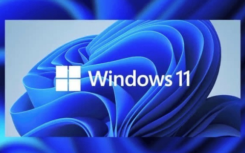 怎么使用Windows10双启动Windows11