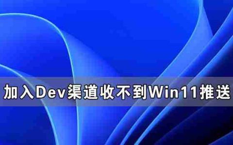 加入Dev渠道收不到Win11推送怎么办