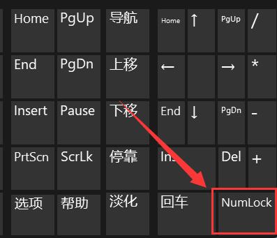 win11笔记本键盘打不了字按哪个键恢复