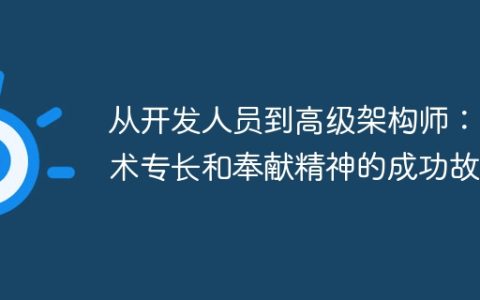 从开发人员到高级架构师：技术专长和奉献精神的成功故事
