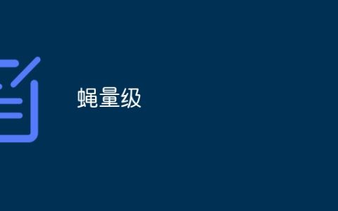 蝇量级